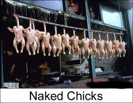 Naked Chicks